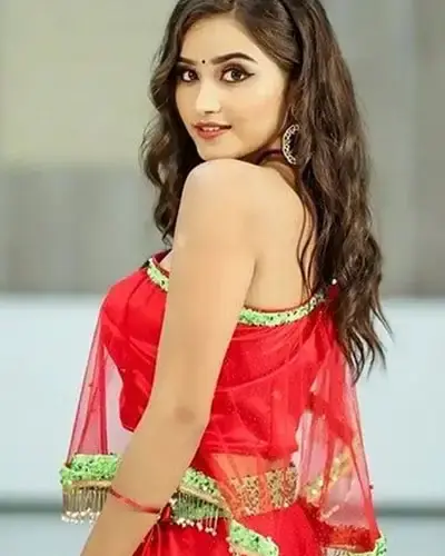 Escort In Mehgaon